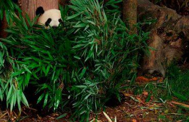 how to hide linkedin profile from google